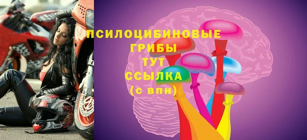 СК Пестово